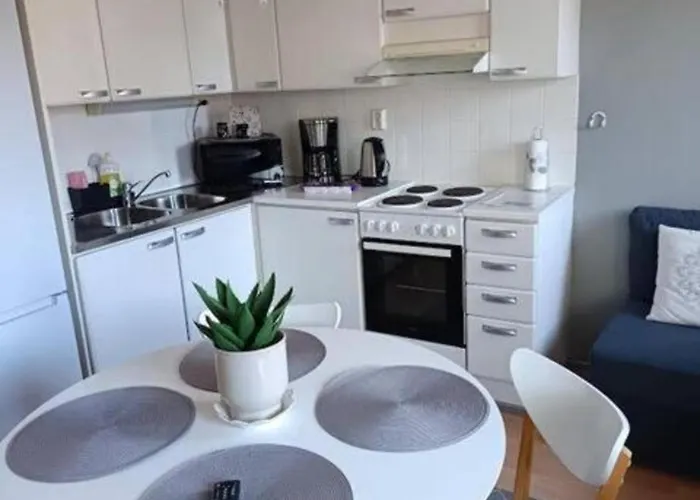 Cozy In The Center Of - Parking And Sauna *